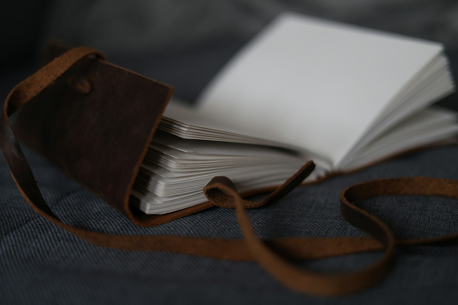 An open leather-bound field journal